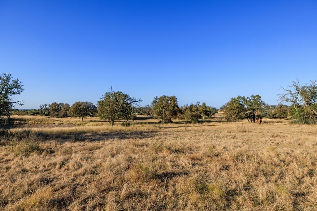 39.9 acres in Gillespie County - photo 39