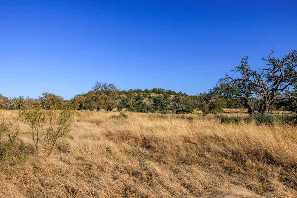 39.9 acres in Gillespie County - photo 29