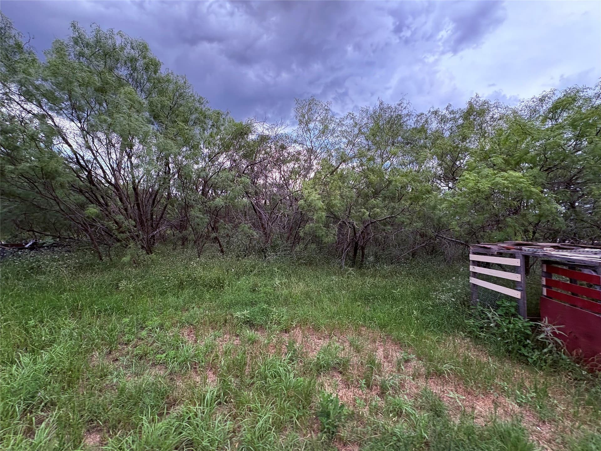 12.5 acres in Eastland County - photo 10
