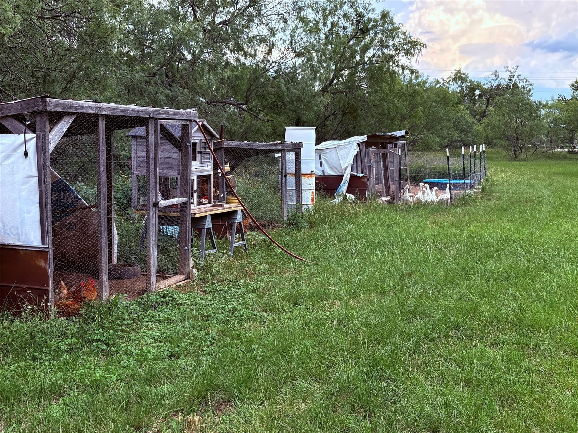 12.5 acres in Eastland County - photo 22