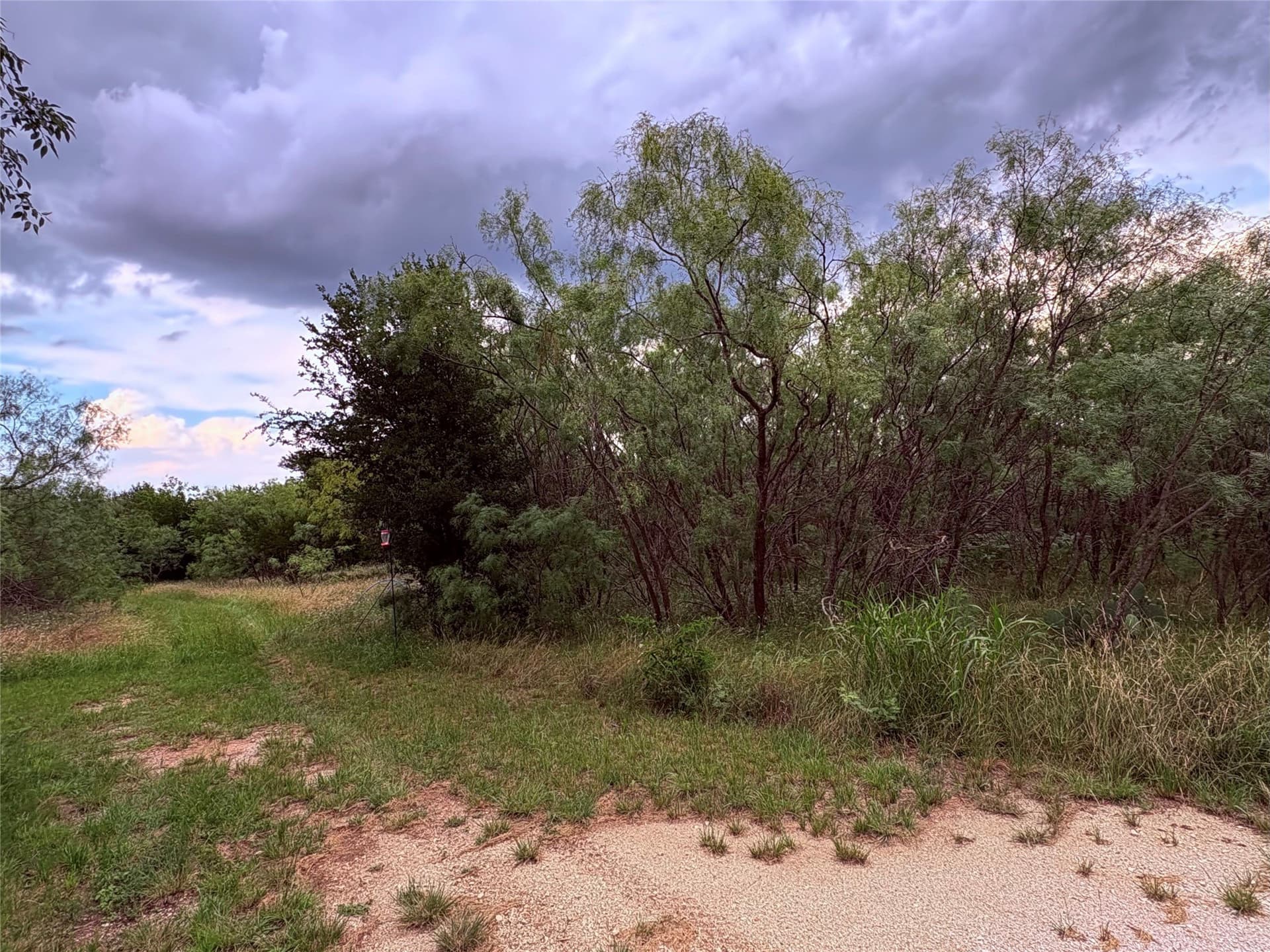 12.5 acres in Eastland County - photo 14