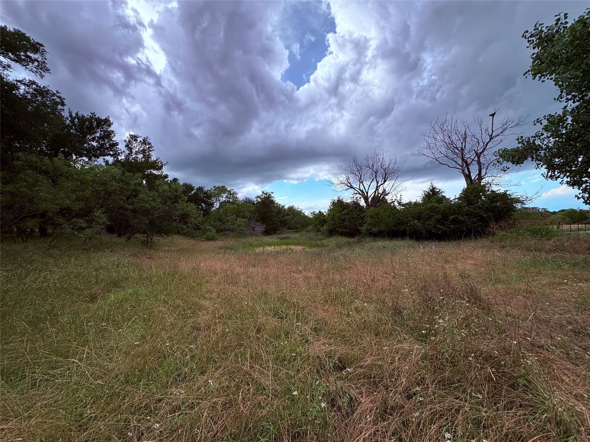 12.5 acres in Eastland County - photo 11
