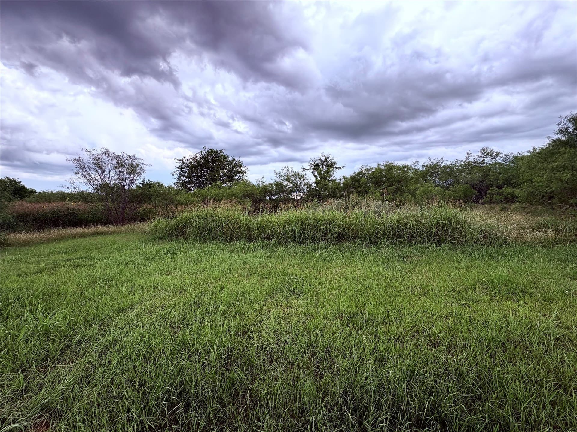 12.5 acres in Eastland County - photo 9