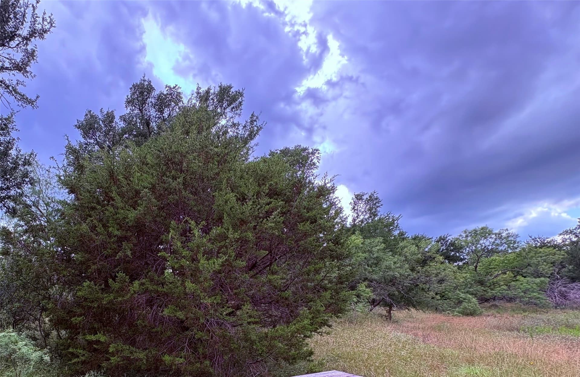 12.5 acres in Eastland County - photo 12