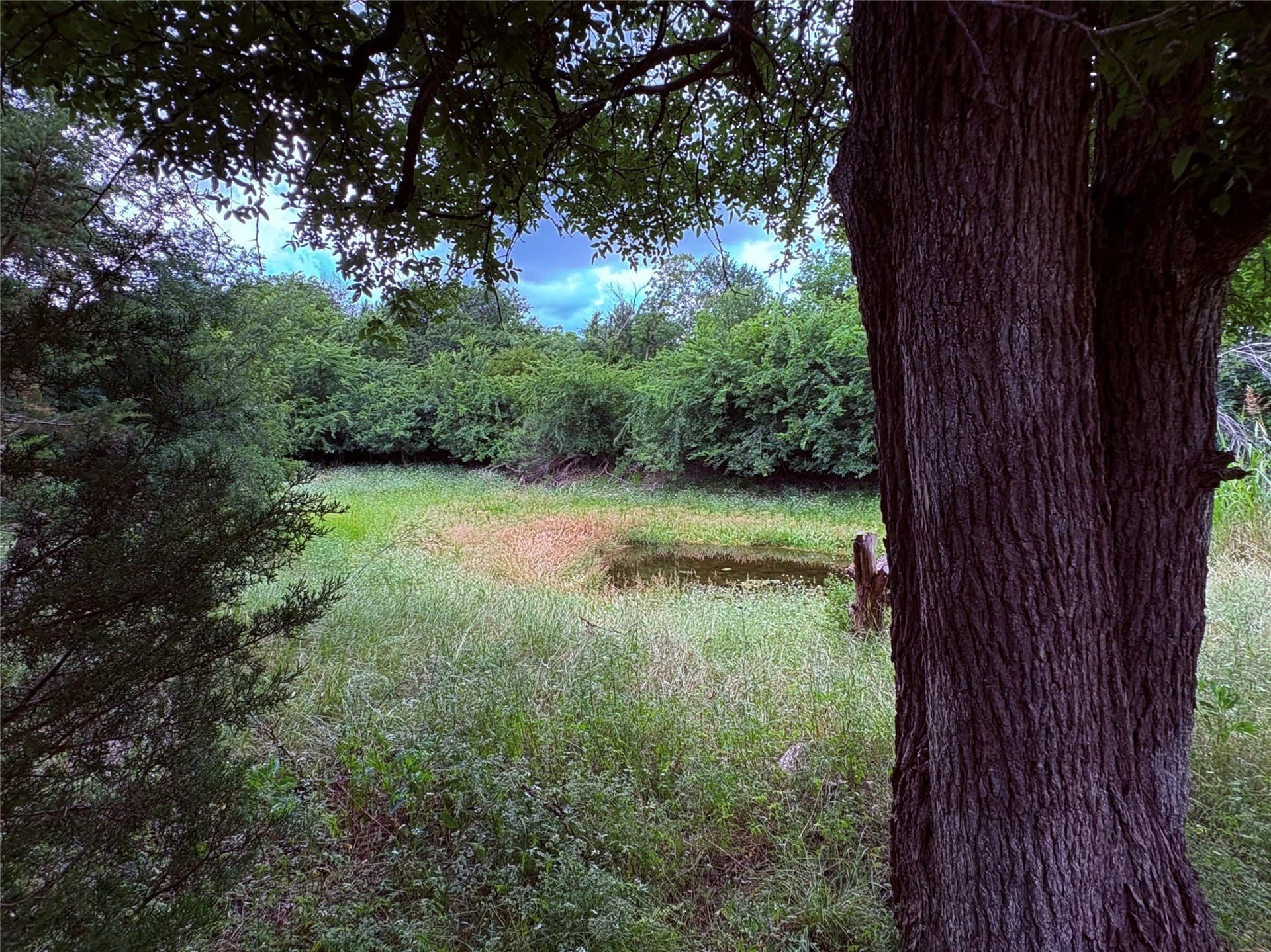 12.5 acres in Eastland County - photo 16
