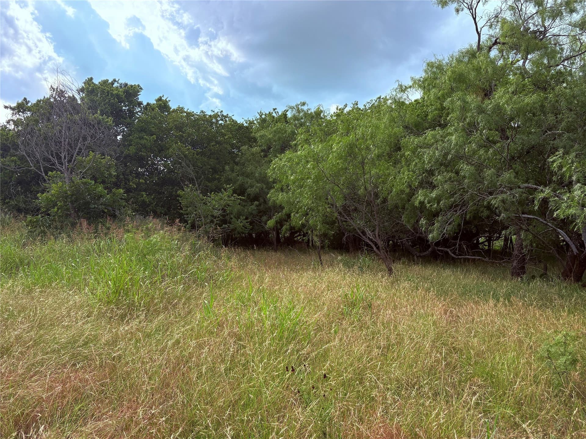 12.5 acres in Eastland County - photo 20