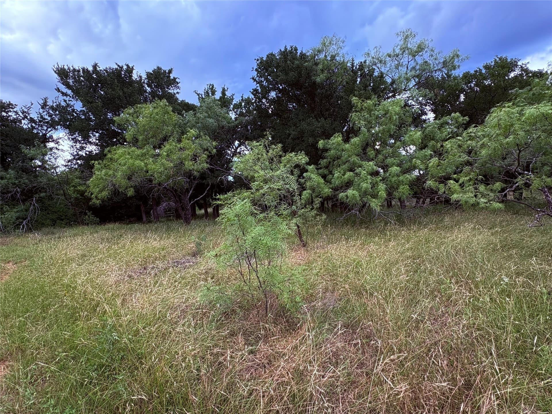 12.5 acres in Eastland County - photo 17