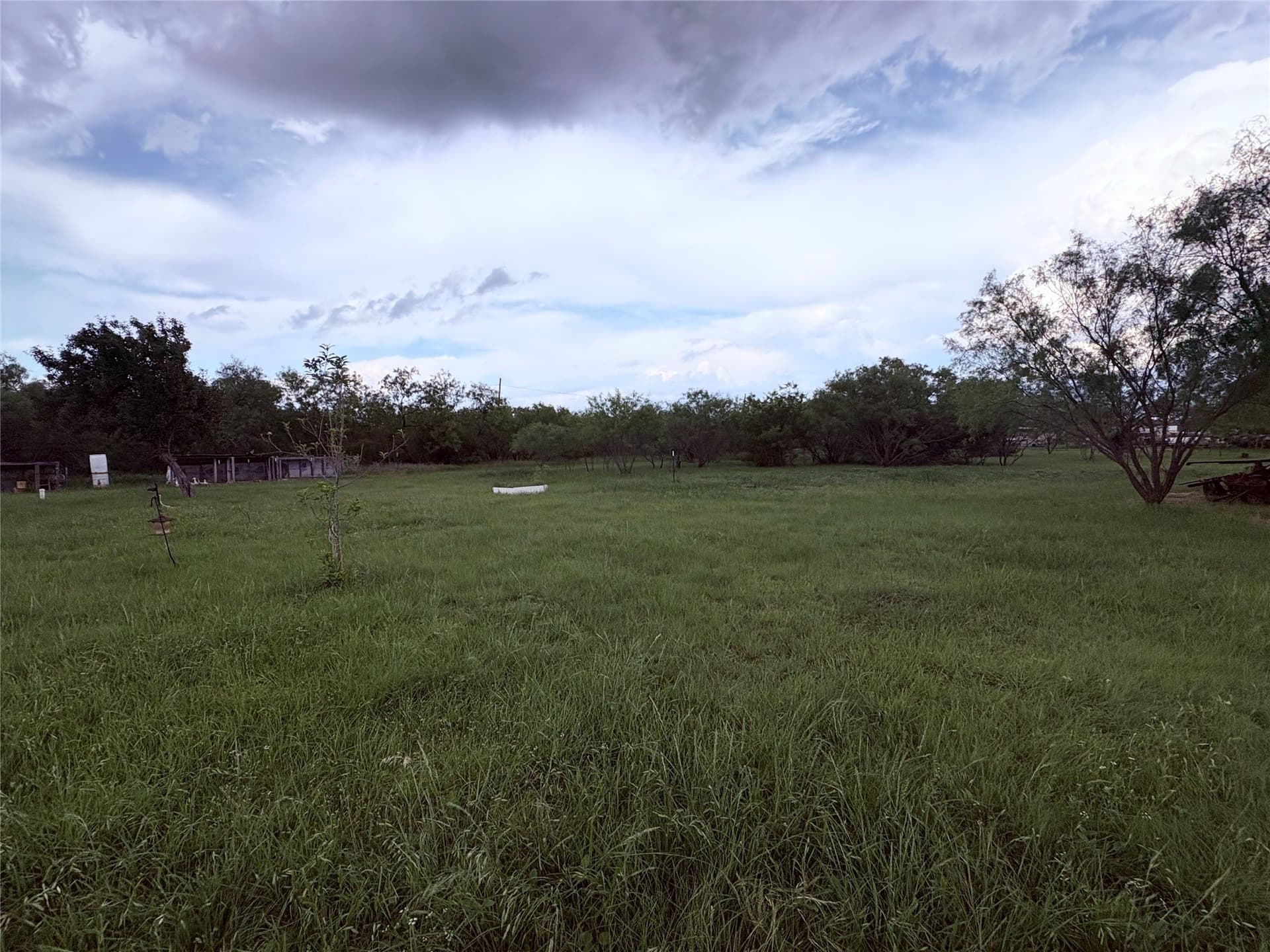 12.5 acres in Eastland County - photo 8