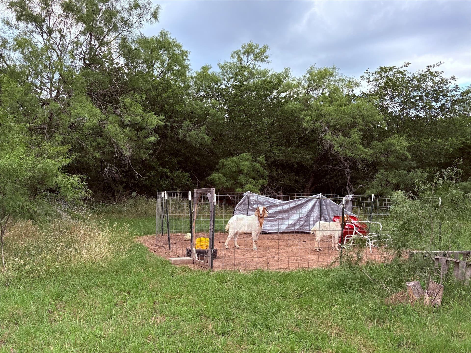 12.5 acres in Eastland County - photo 18
