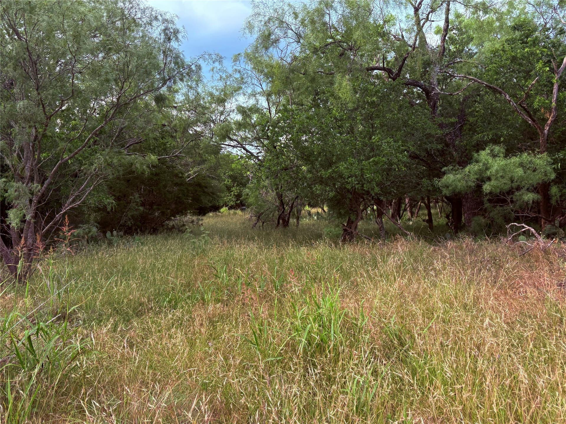 12.5 acres in Eastland County - photo 19
