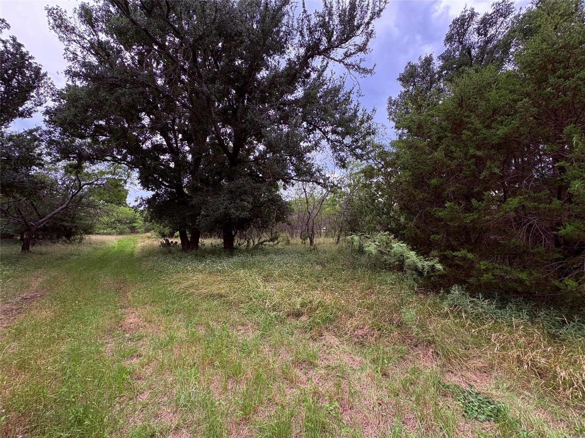 12.5 acres in Eastland County - photo 15