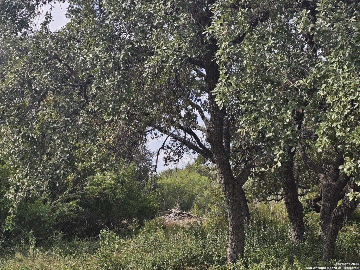 0.73 acres in Bexar County gallery image 3
