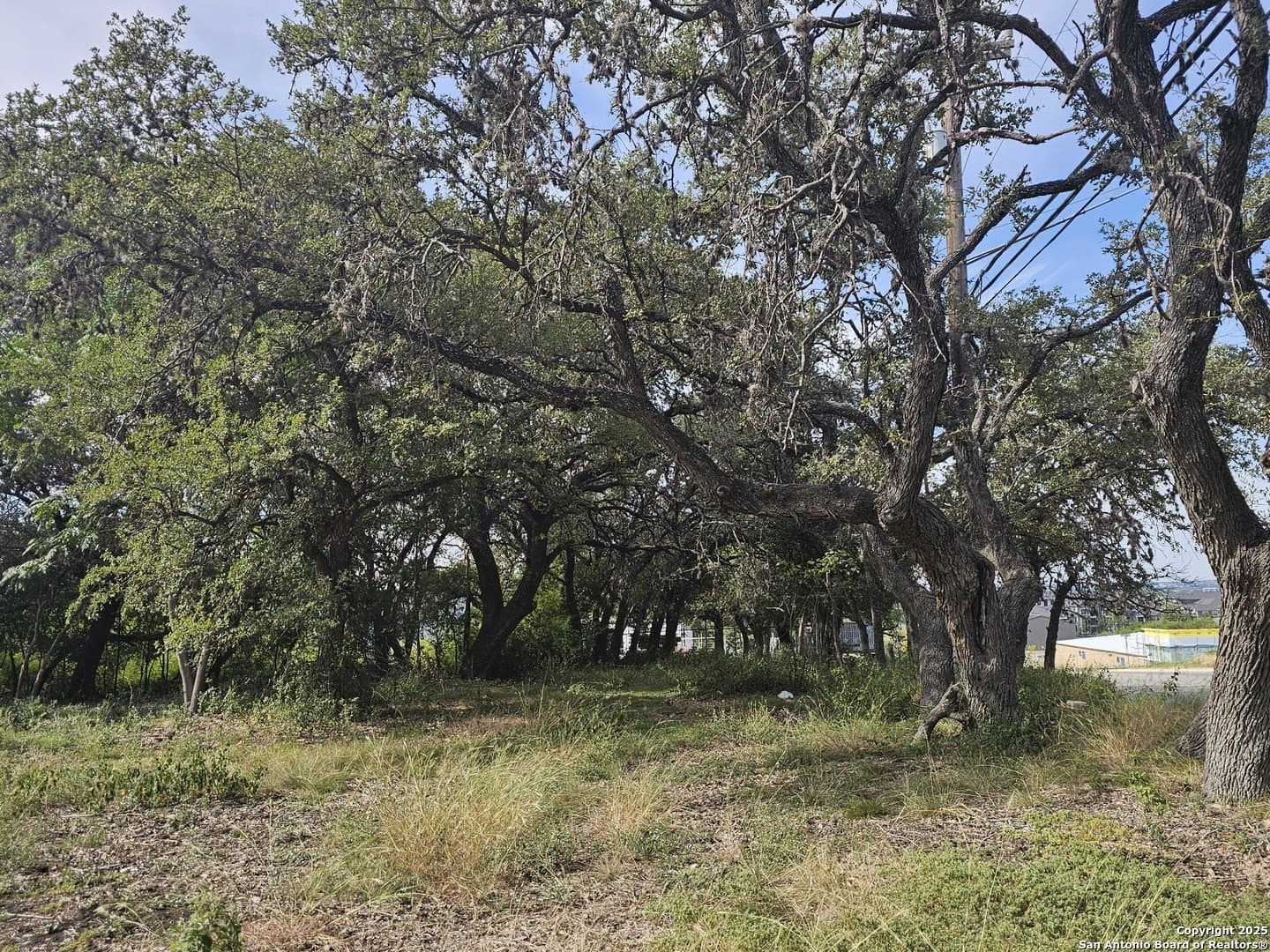 0.73 acres in Bexar County gallery image 2