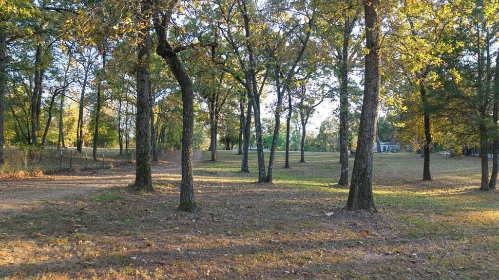 3.4 acres in Henderson County - photo 13