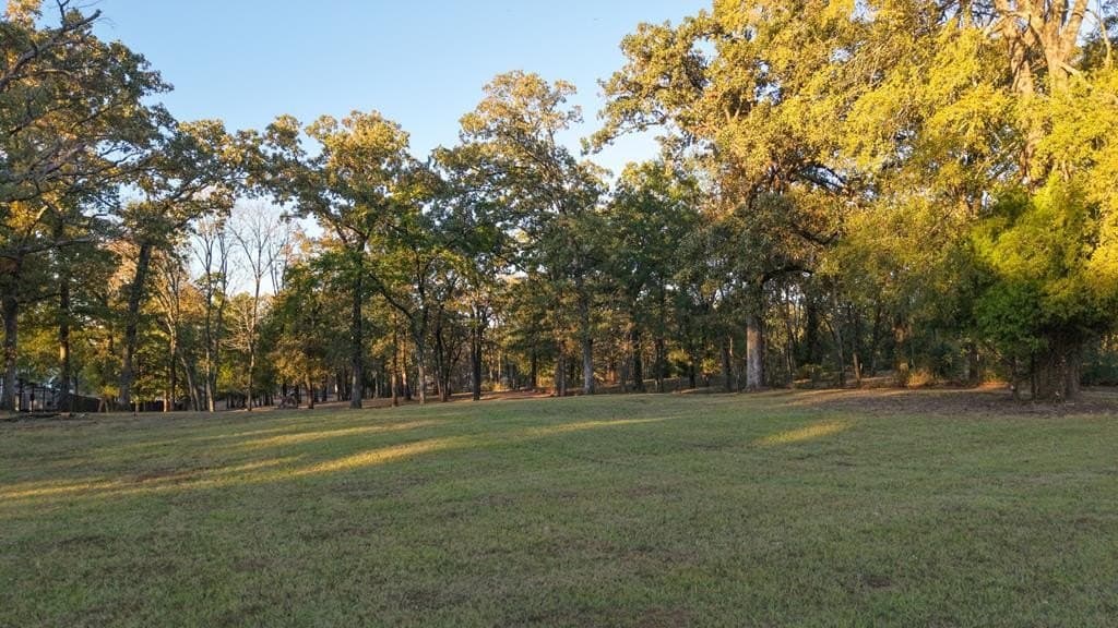 3.4 acres in Henderson County - photo 10
