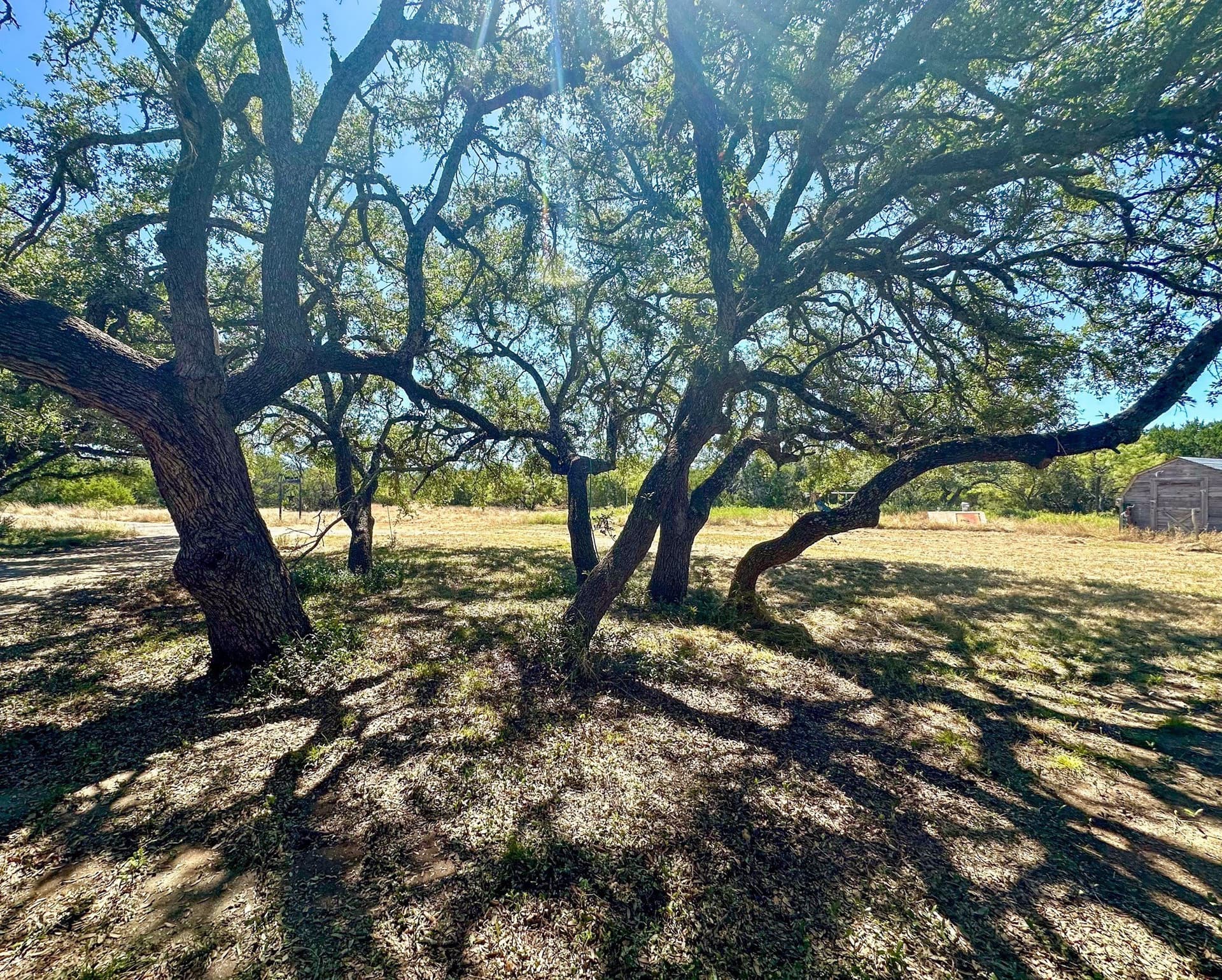 23.53 acres in McCulloch County - photo 10