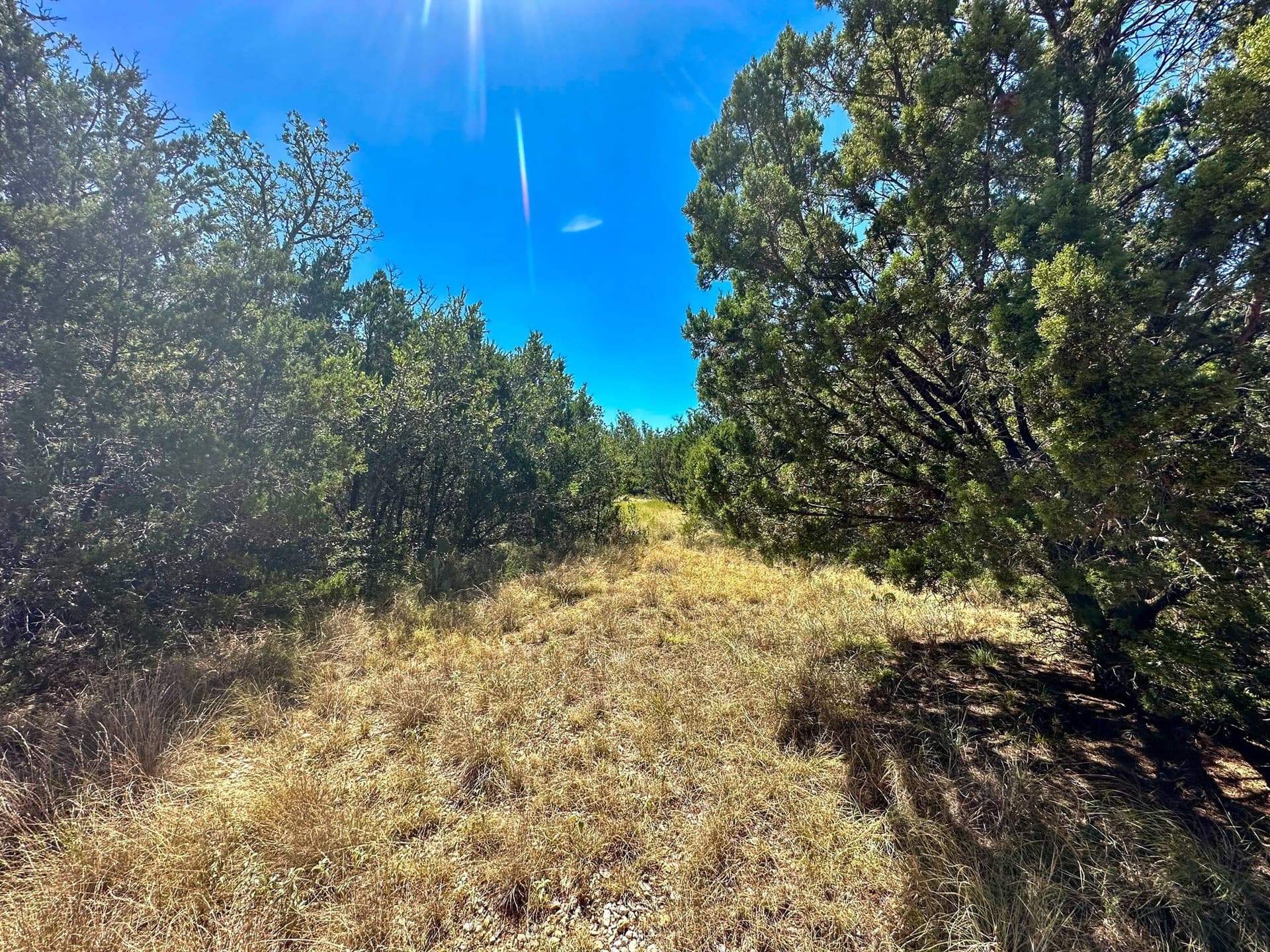 23.53 acres in McCulloch County - photo 3