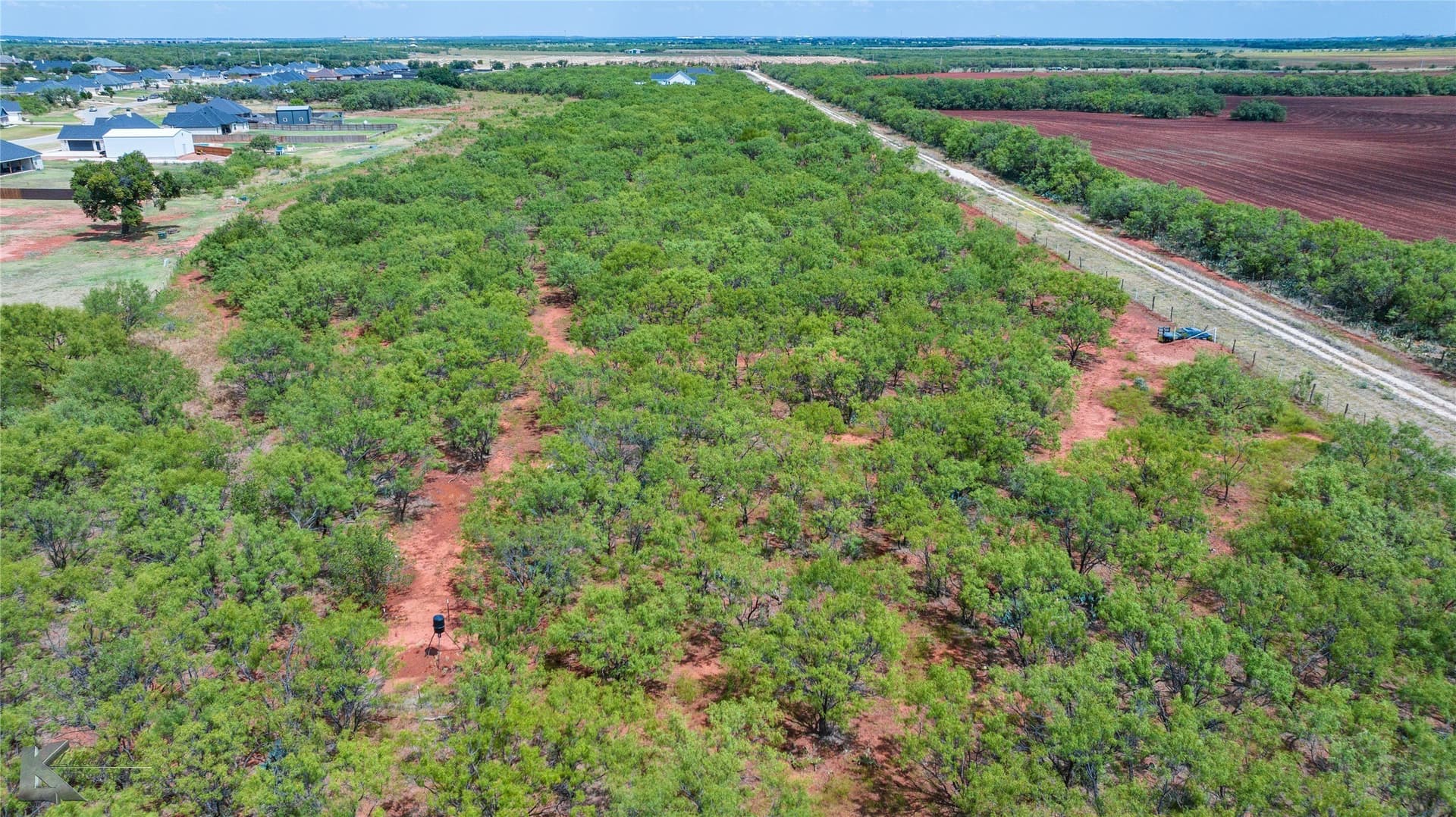 15 acres in Taylor County - photo 3