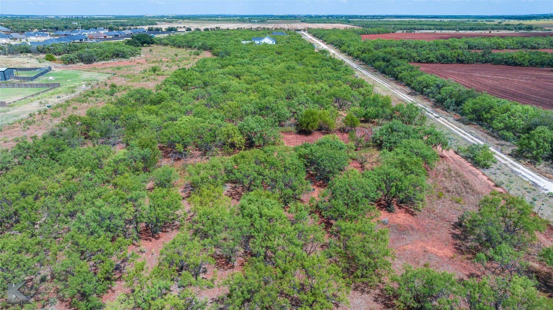 15 acres in Taylor County - photo 6