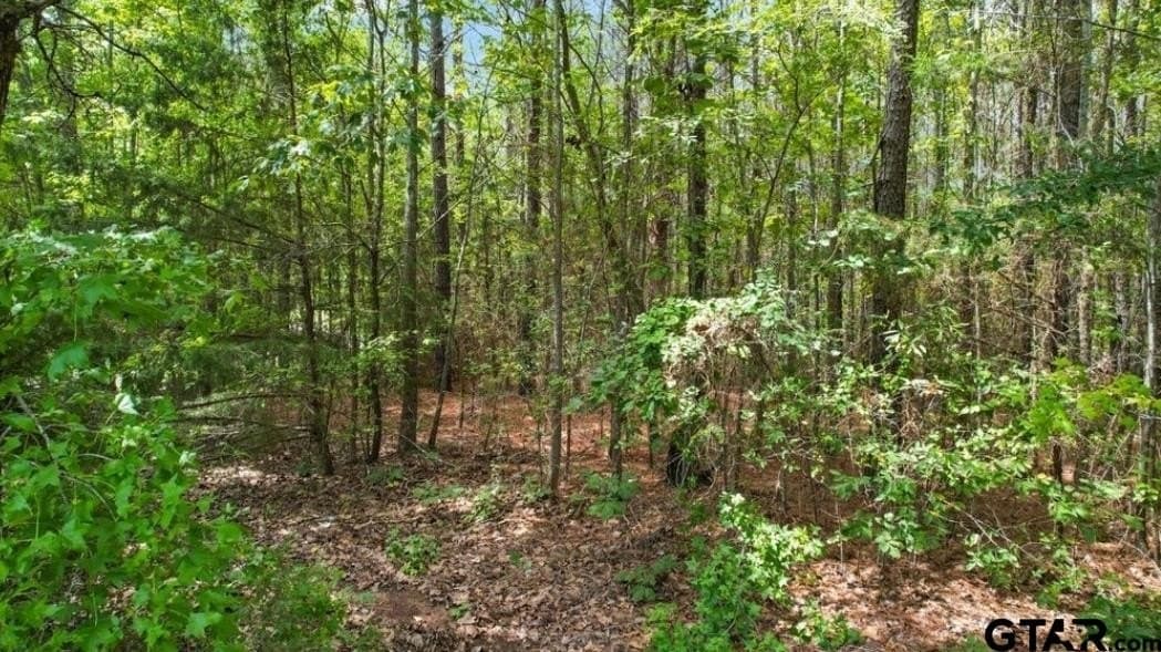 22.22 acres in Morris County gallery image 3