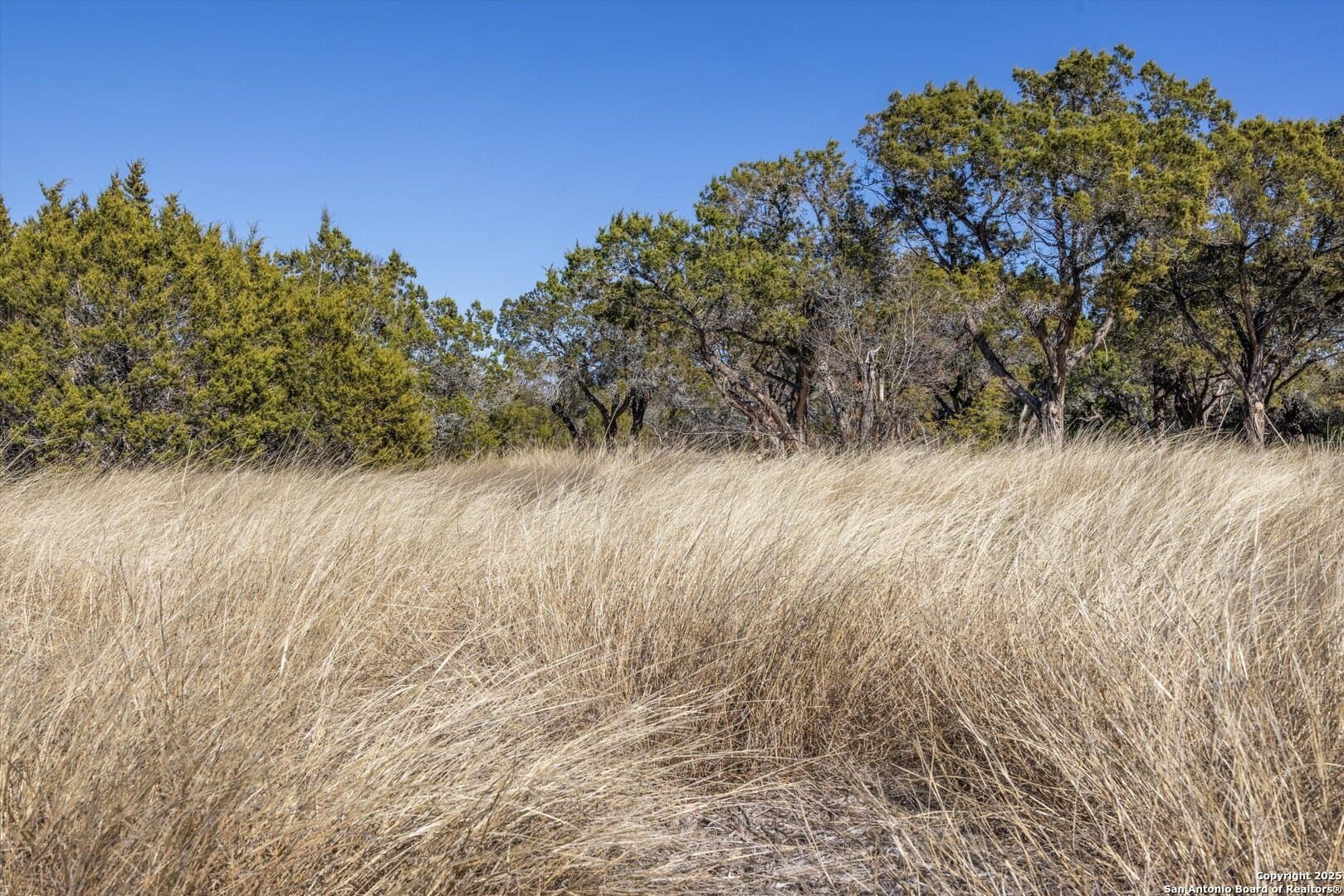 3.35 acres in Burnet County gallery image 4