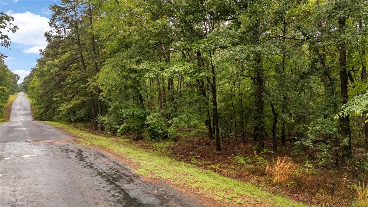 0.34 acres in Franklin (TX) County gallery image 3