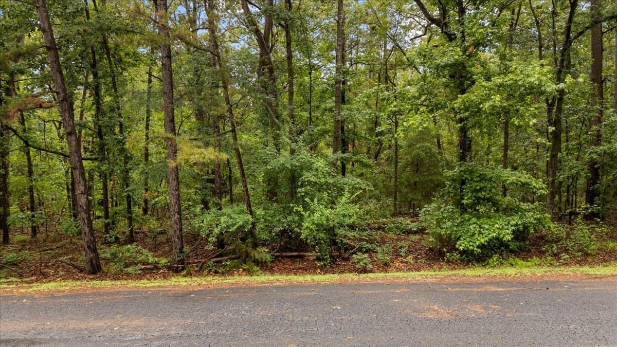 0.34 acres in Franklin (TX) County gallery image 2