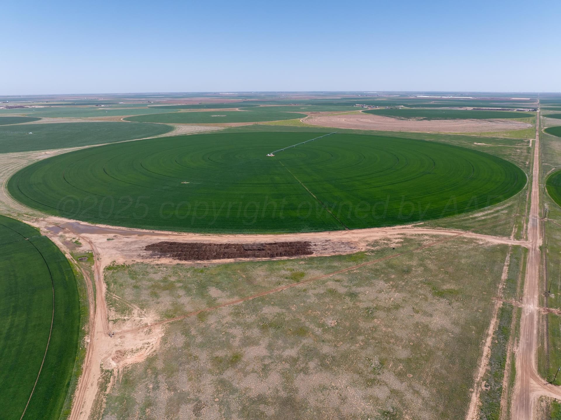 516.34 acres in Castro County gallery image 3