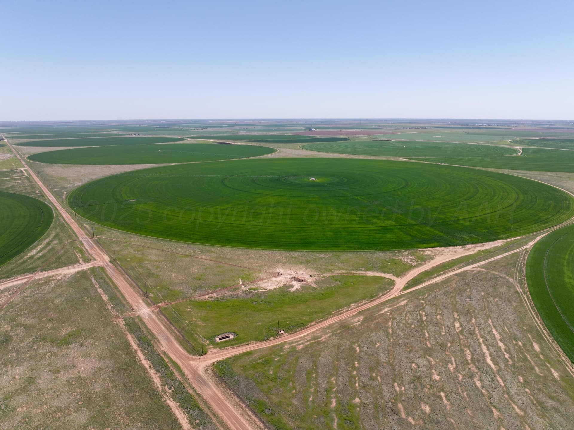 516.34 acres in Castro County gallery image 2