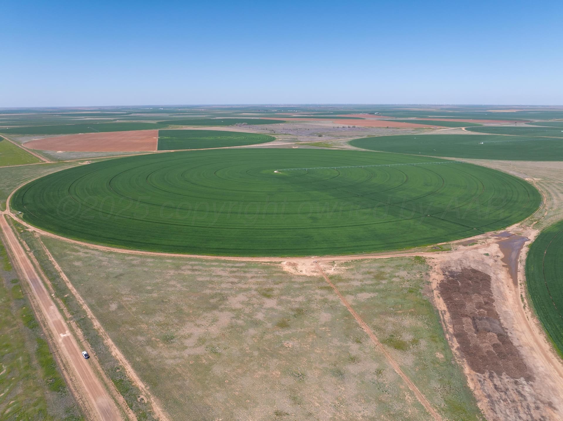 516.34 acres in Castro County gallery image 4