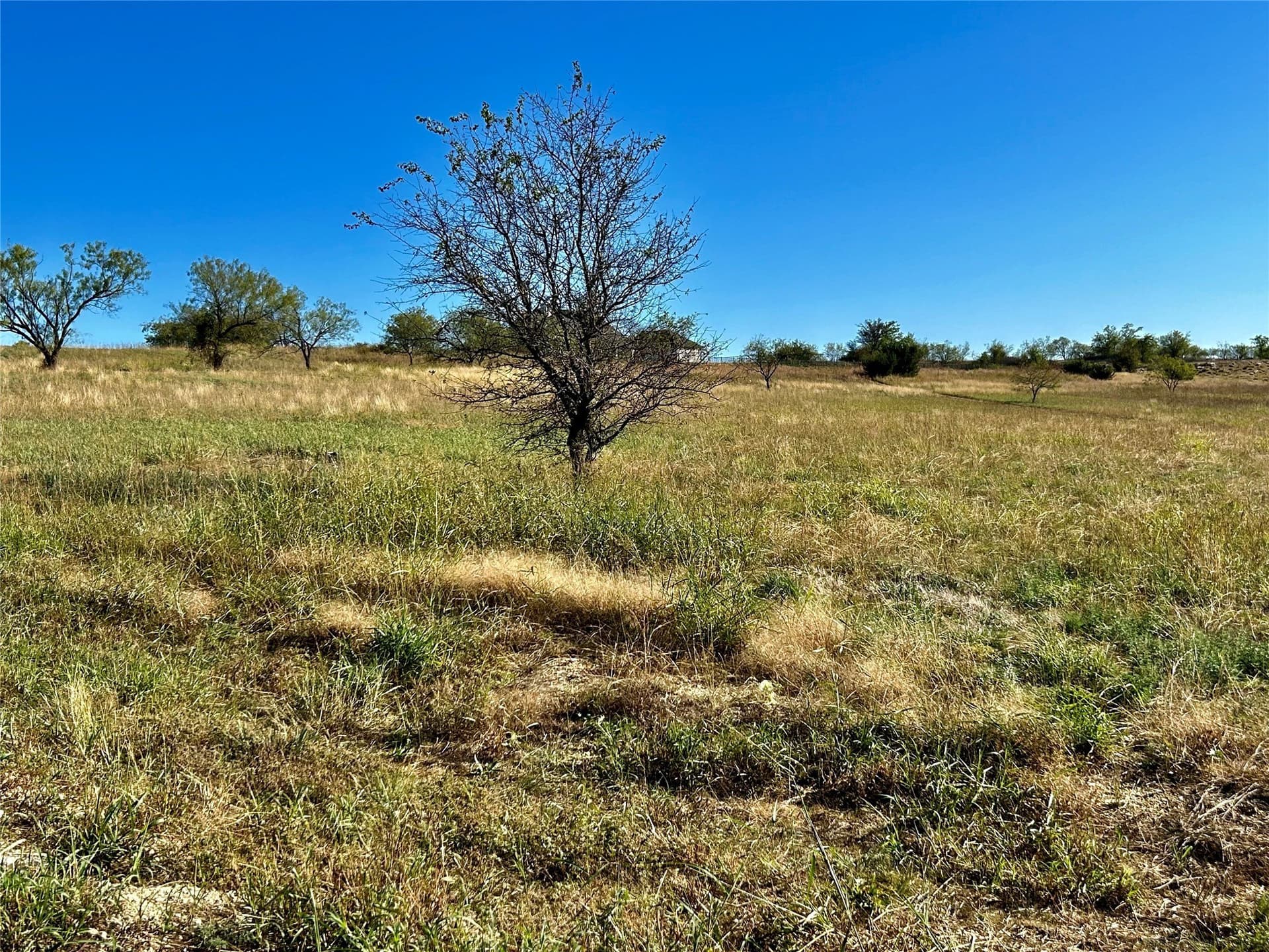 2.05 acres in Parker County - photo 5
