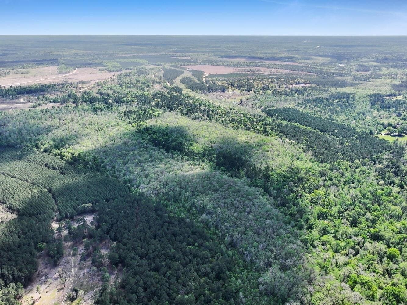 90.42 acres in Texas County featured view