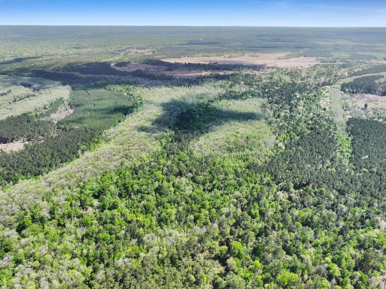 90.42 acres in Texas County gallery image 4