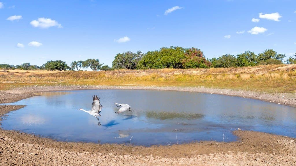 354 acres in Blanco County gallery image 3