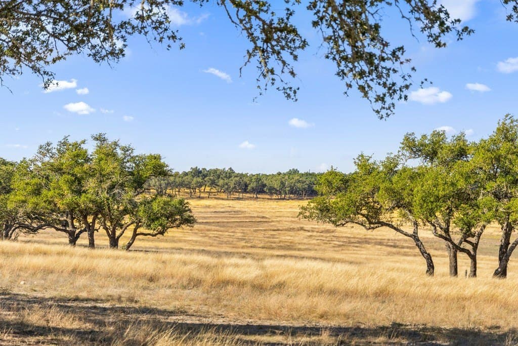 354 acres in Blanco County gallery image 2