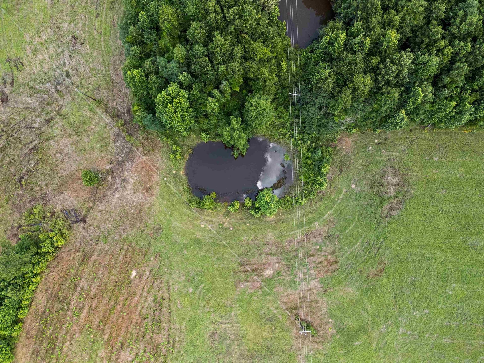 17.24 acres in Rusk County - photo 19