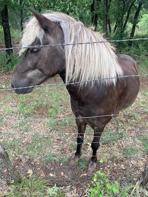 2.04 acres in Parker County featured view