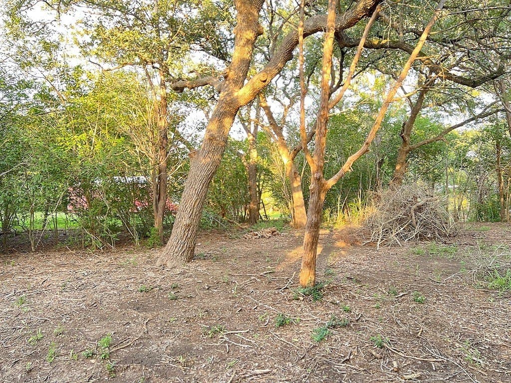 0.73 acres in Bastrop County featured view