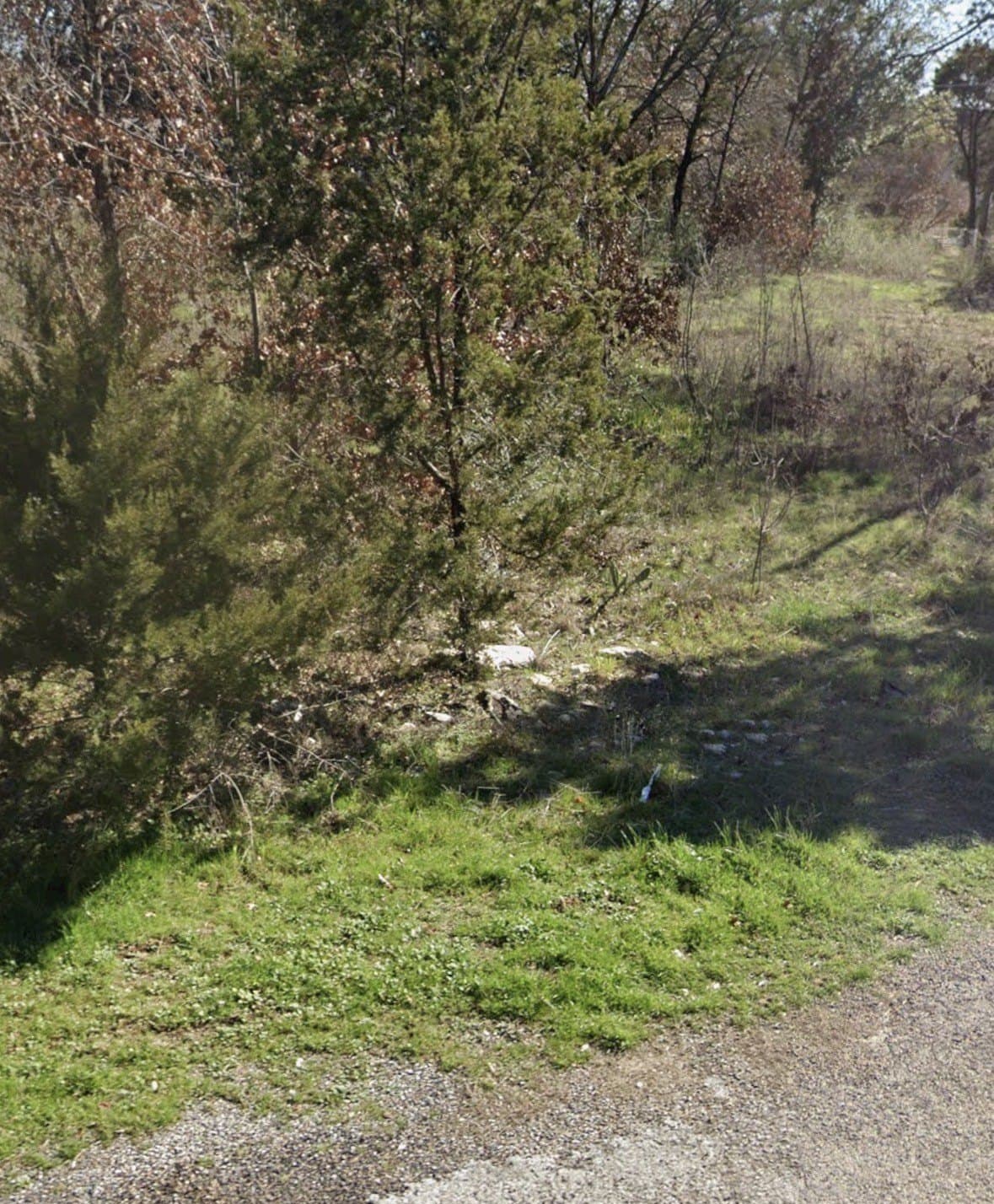 0.03 acres in Hood County - photo 3