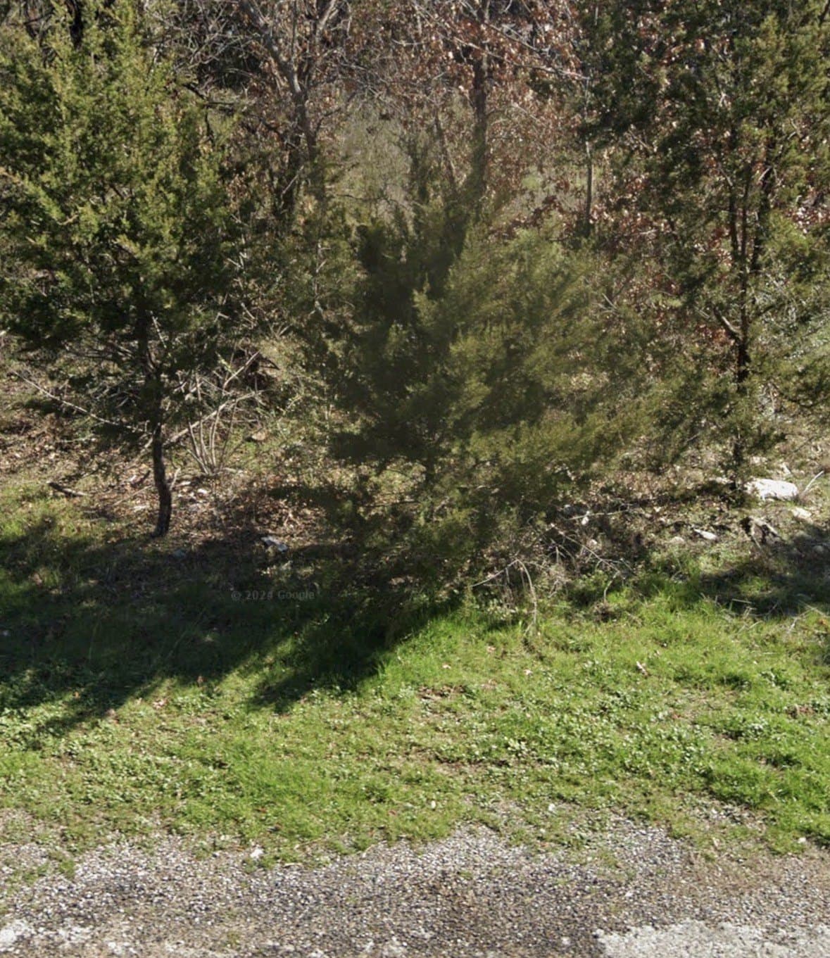 0.03 acres in Hood County - photo 2