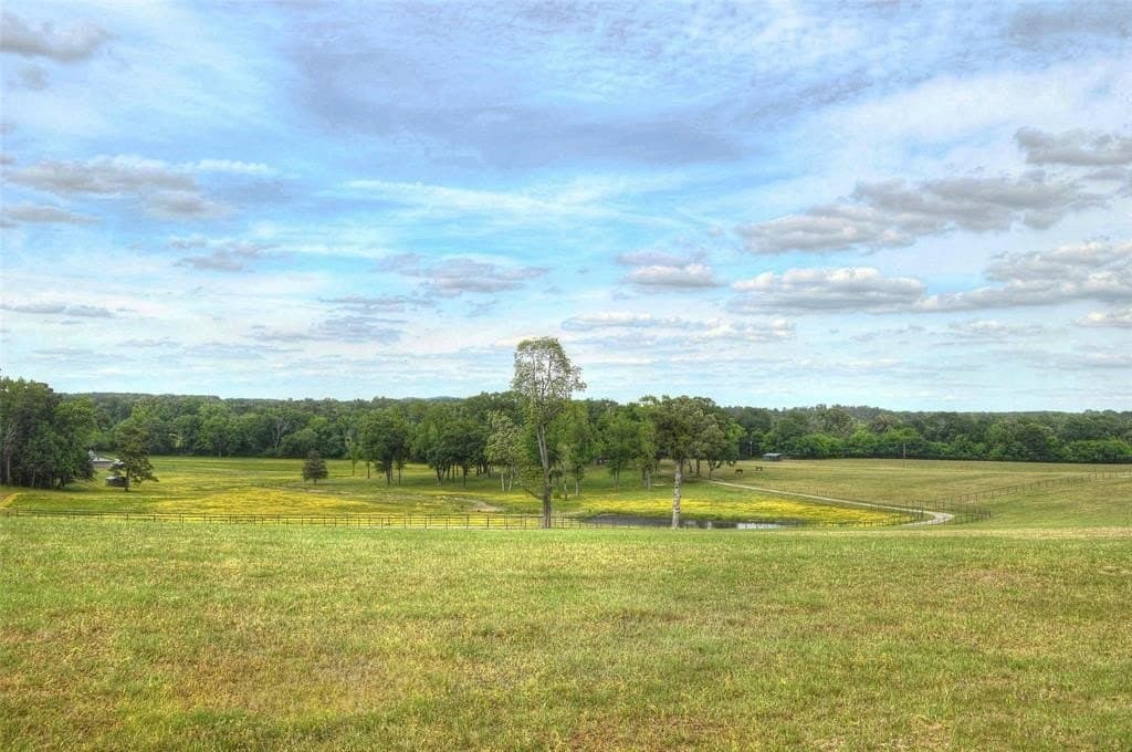 64.33 acres in Upshur County - photo 20