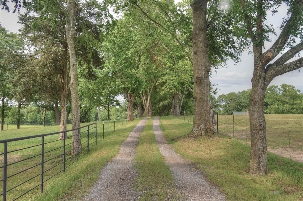 64.33 acres in Upshur County - photo 22