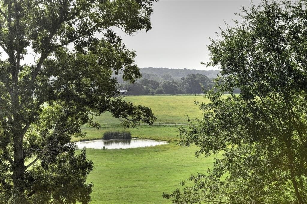 64.33 acres in Upshur County - photo 29