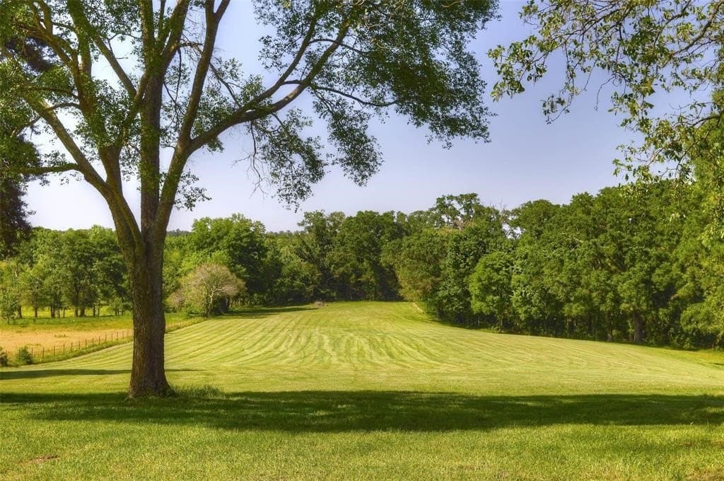 64.33 acres in Upshur County - photo 27