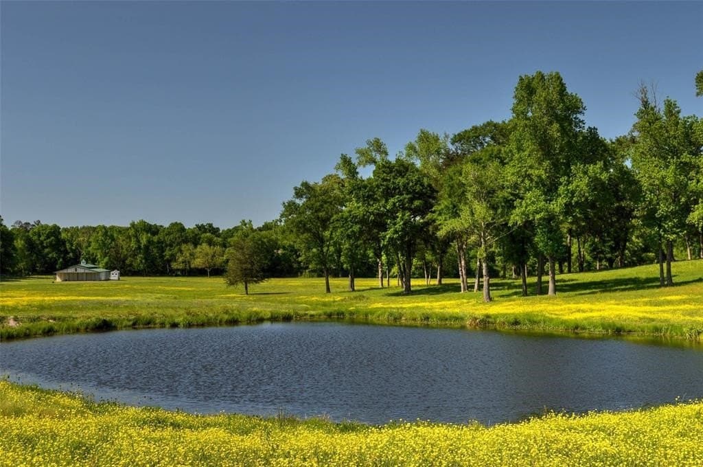 64.33 acres in Upshur County - photo 26