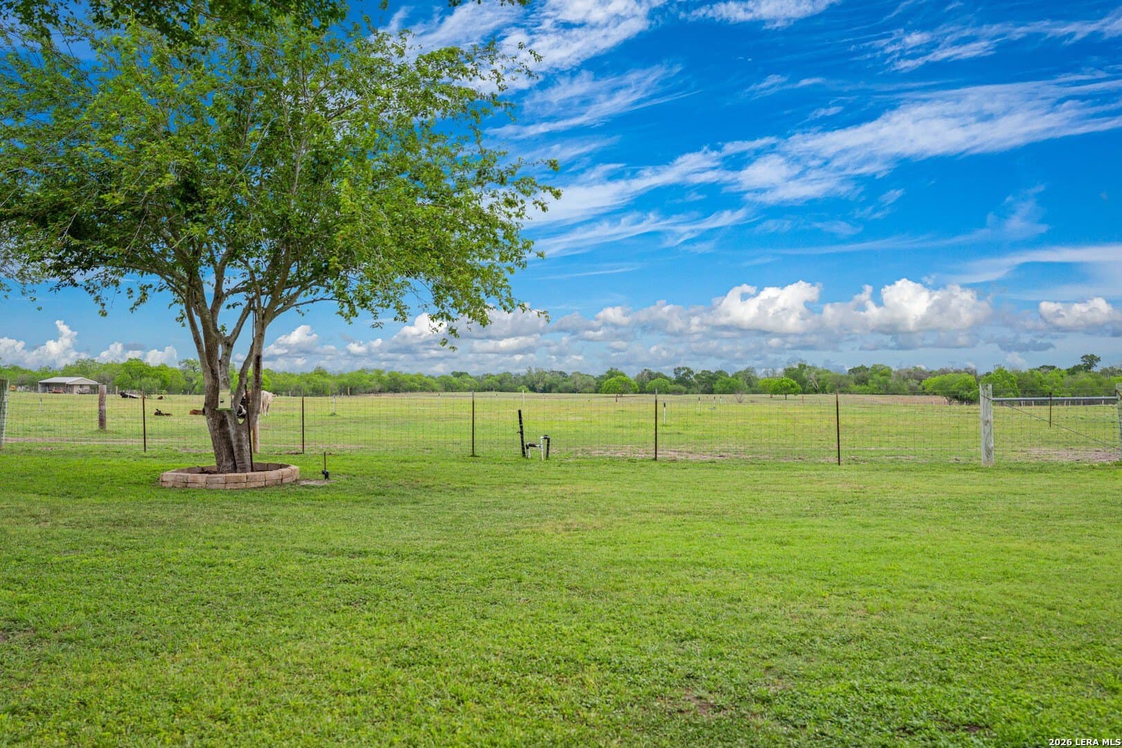 33.84 acres in Karnes County - photo 19