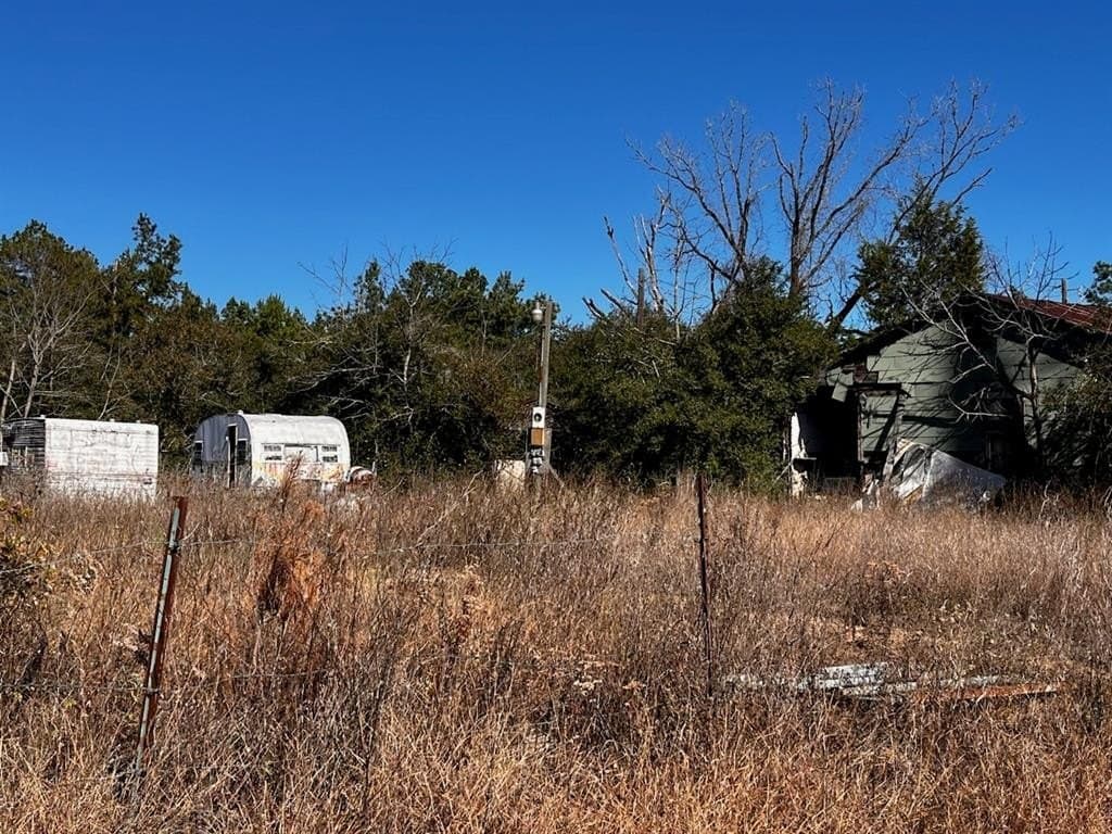 170 acres in Leon County gallery image 4