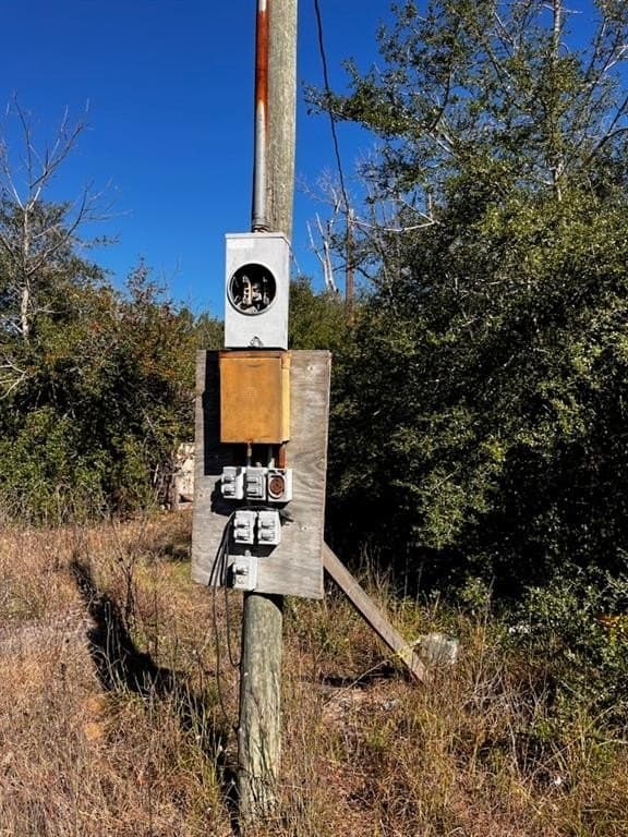 170 acres in Leon County gallery image 2