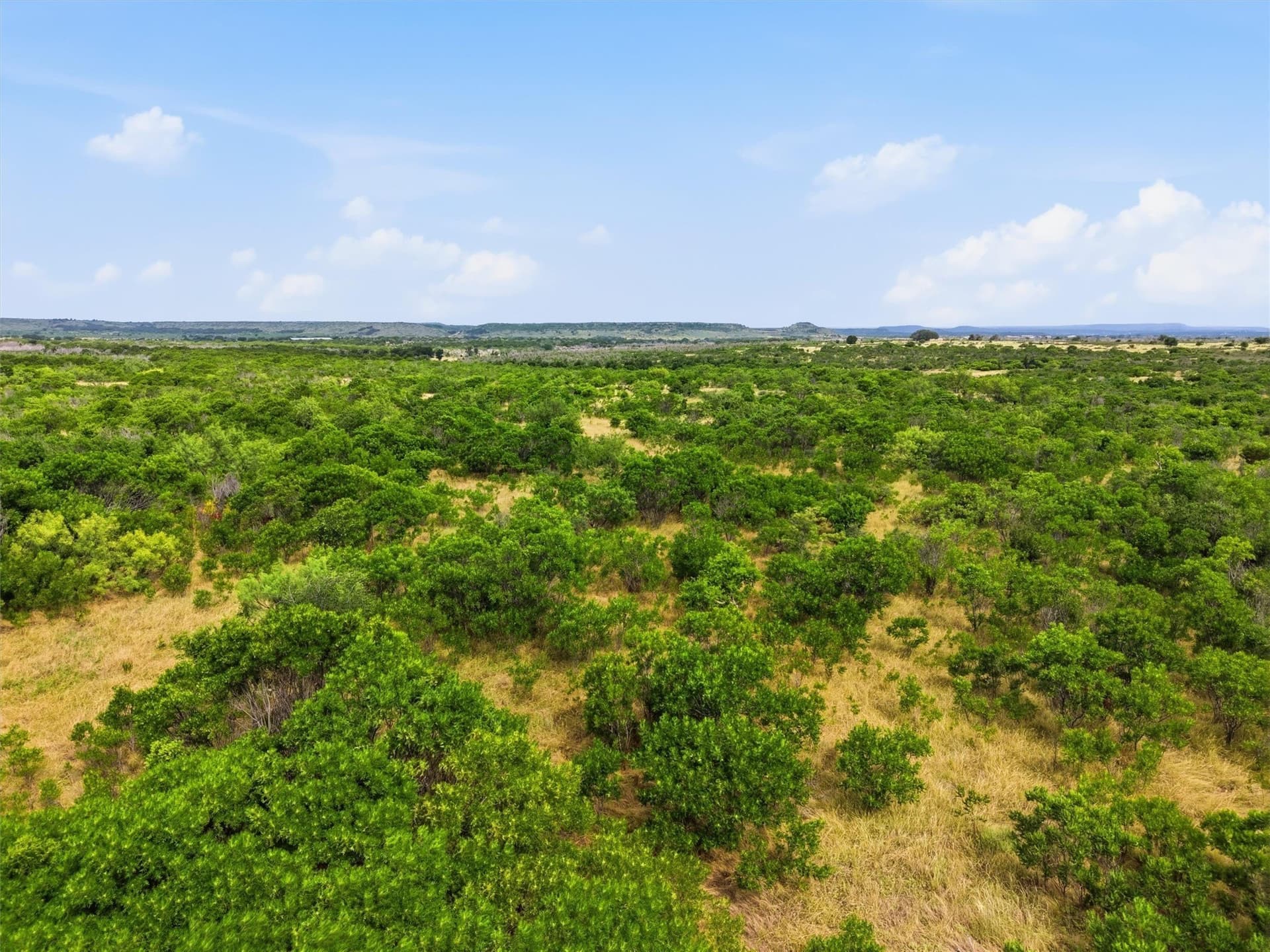 211.68 acres in Palo Pinto County - photo 12