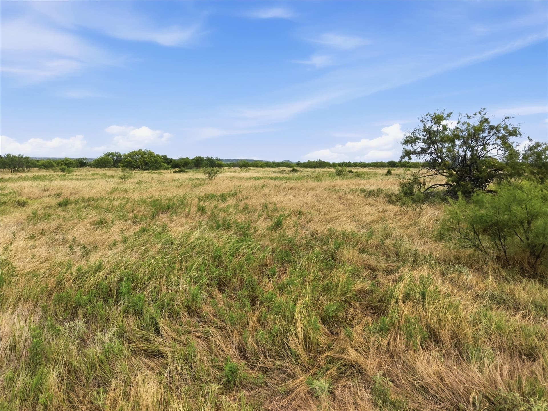 211.68 acres in Palo Pinto County - photo 20